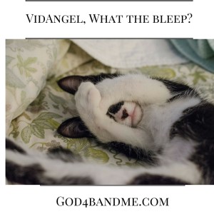 VidAngel-What-the-bleep?