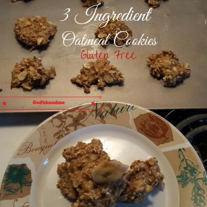 3-Ingredient-Oatmeal-Cookies