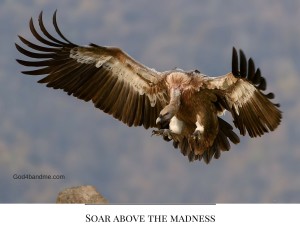 Eagles-soar-above-the-mess