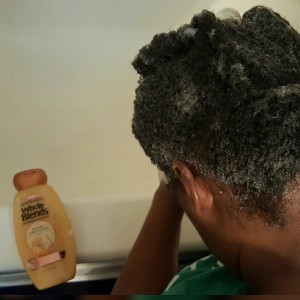 Garnier-Whole-Blends-Repairing-Hair-Care