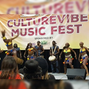 African-Dance-World-Natural-Hair-Show