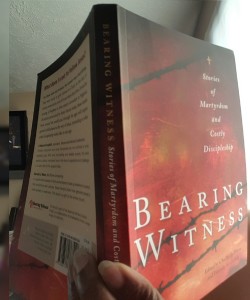 Bearing-Witness-Book