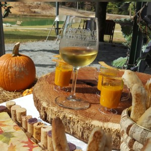 Carrot-Honey-Ginger-Soup-Bidegas-Carrau-Chardonnay-Grape-Harvest-Celebration