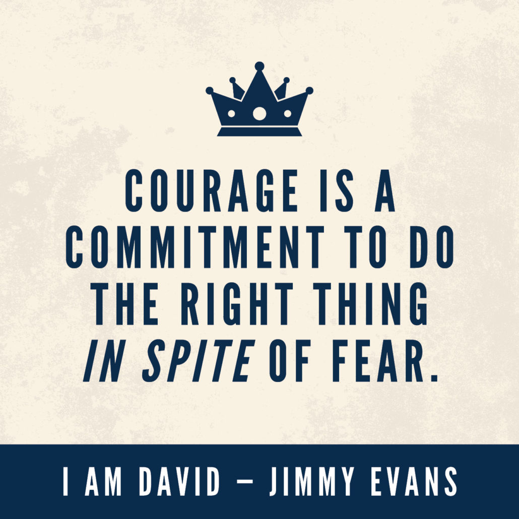 Courage I Am David Book 