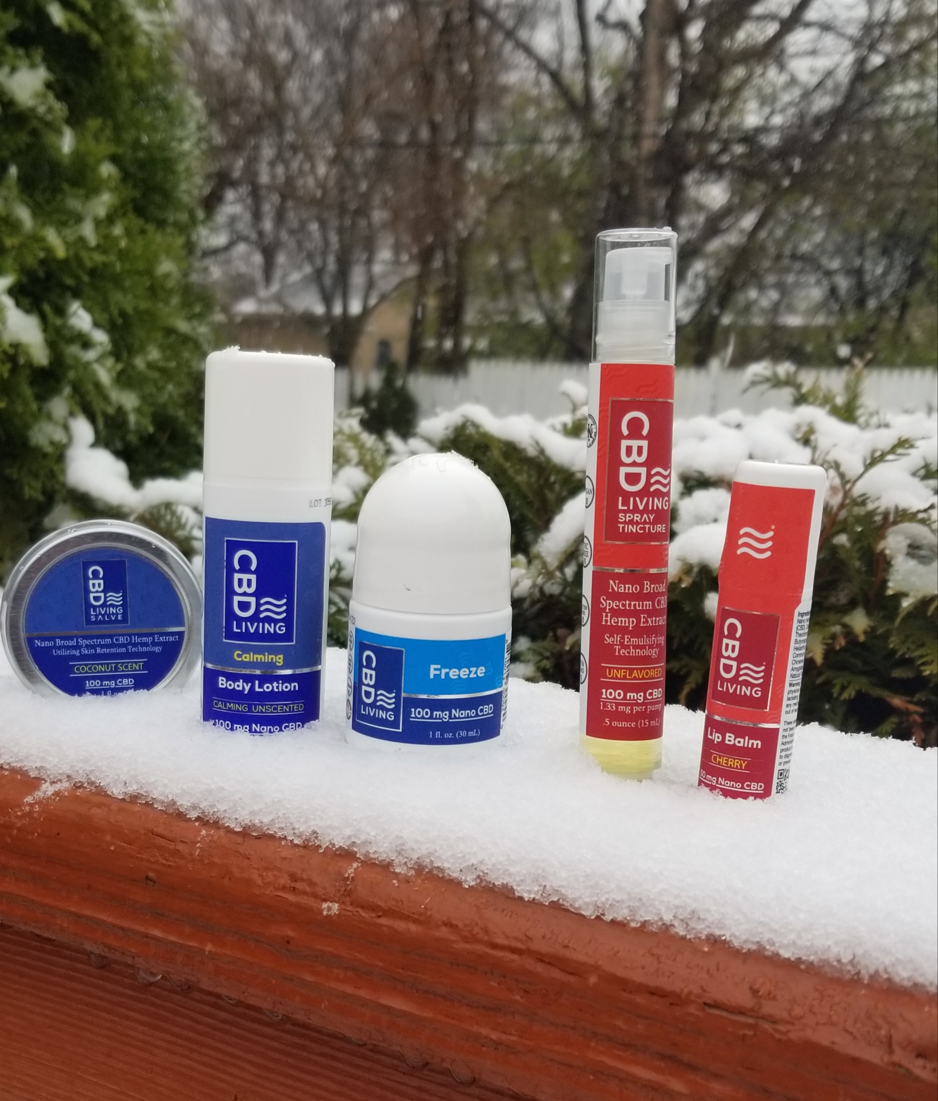 cbd travel bundle snow