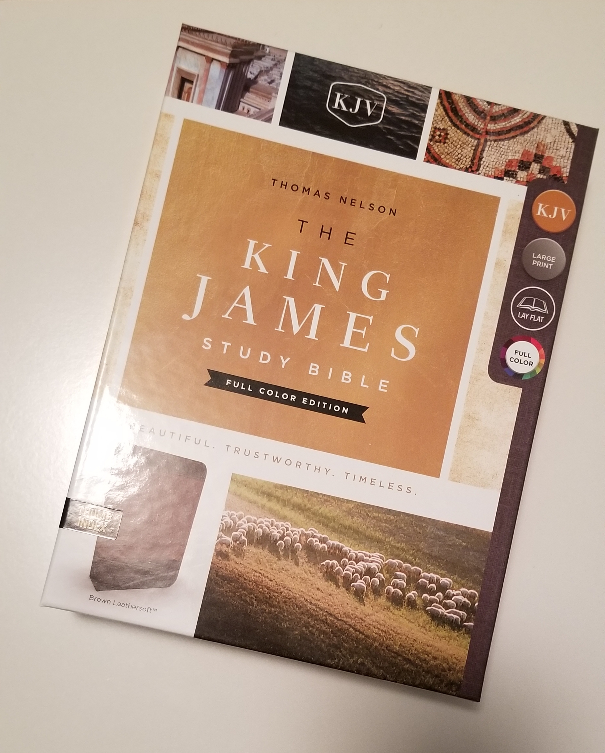 King James Study Bible