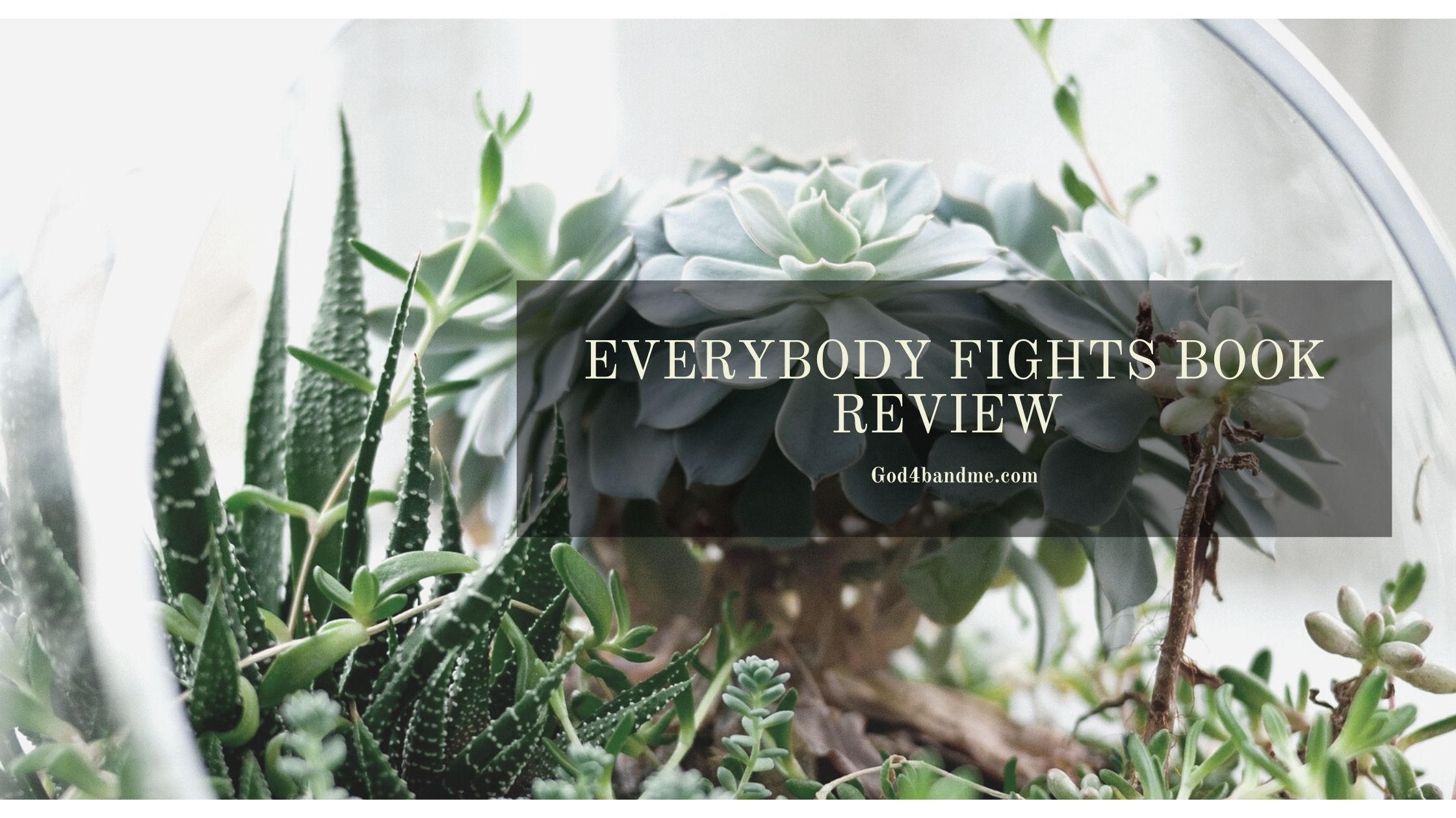 Everybody Fights Book