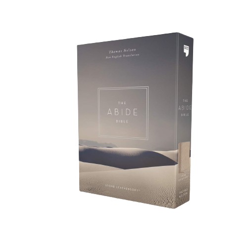 Abide bible