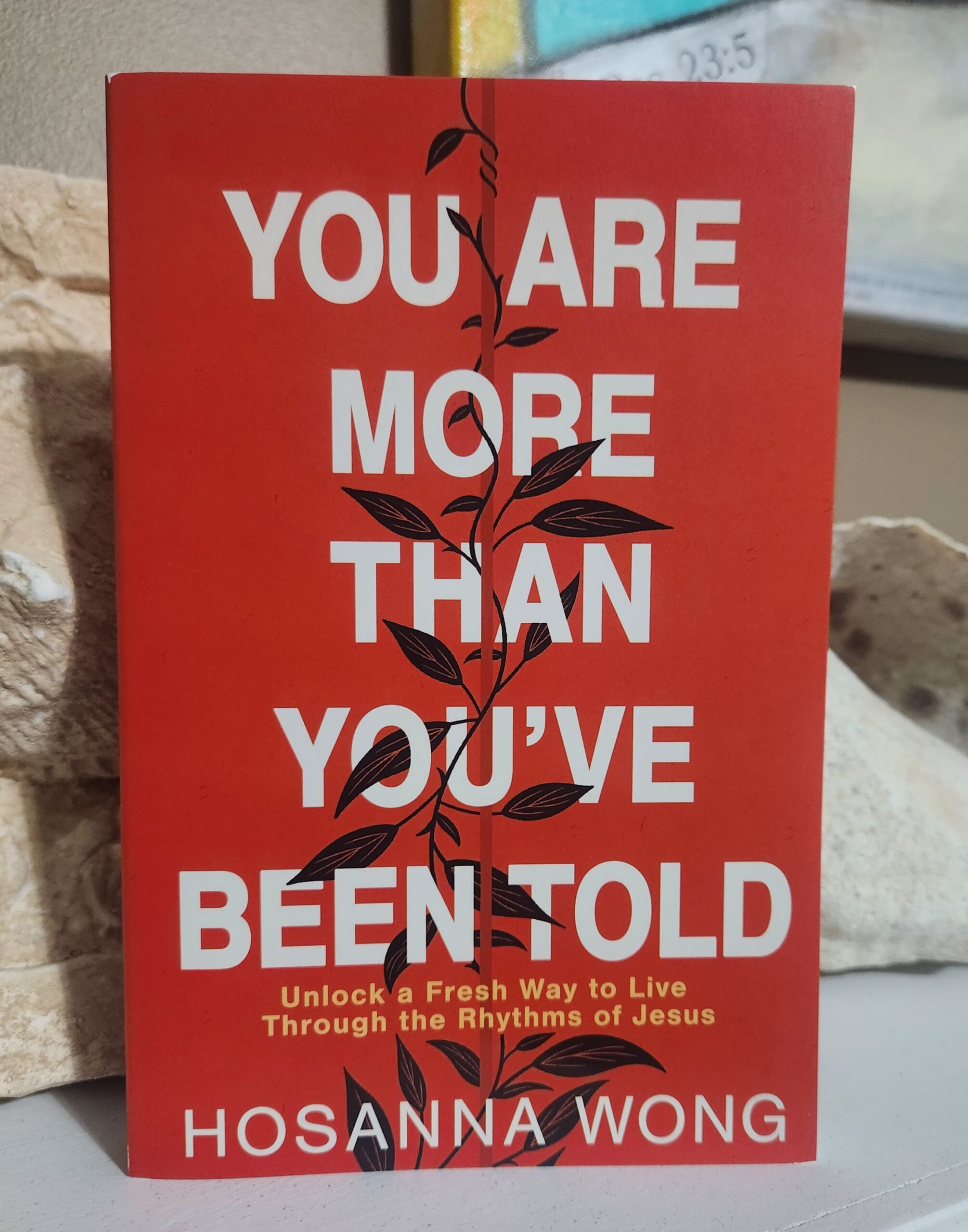 You are more than you've been told