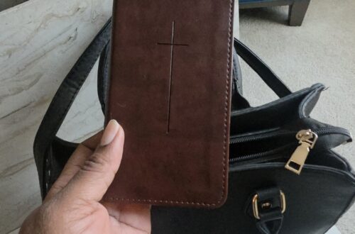 NLT Bible